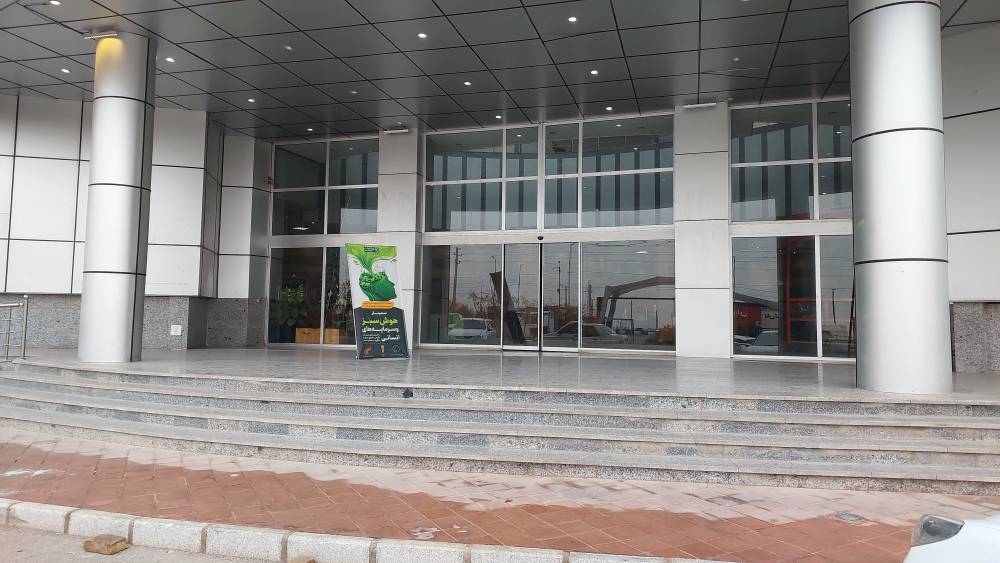 هوش سبز، سرمایه انسانی،